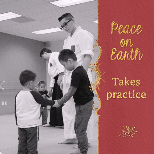 Earth Day All Ages Aikido 2.0 Tai Sai Seminar+Image